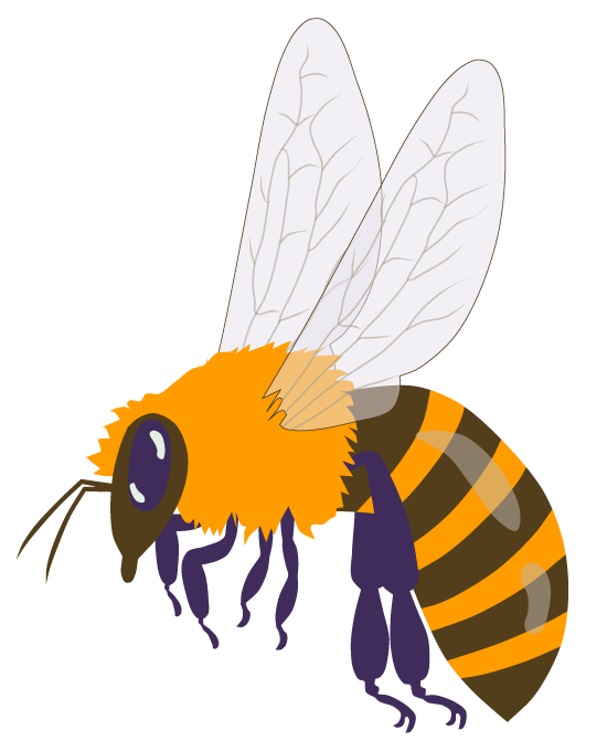 Bij