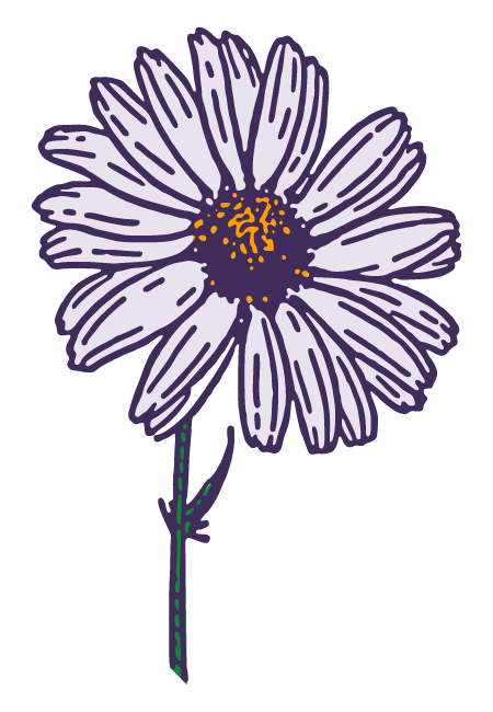 Een illustratie van een bloem.